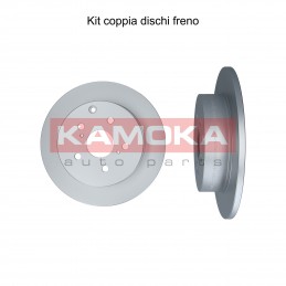 Coppia dischi freno posteriore