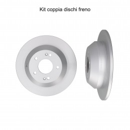 Coppia dischi freno posteriore