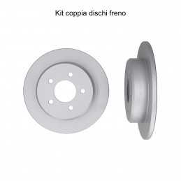 Coppia dischi freno posteriore