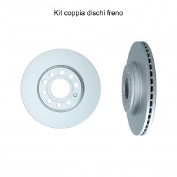 Coppia dischi freno...