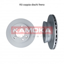 Coppia dischi freno...