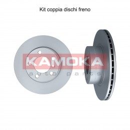 Coppia dischi freno...