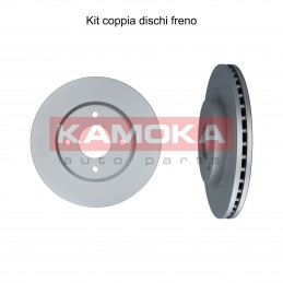 Coppia dischi freno...