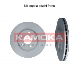 Coppia dischi freno...