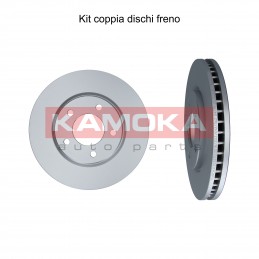 Coppia dischi freno...