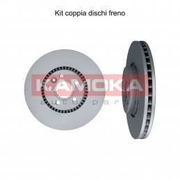Coppia dischi freno...