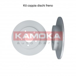 Coppia dischi freno posteriore