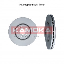 Coppia dischi freno...