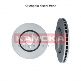 Coppia dischi freno...