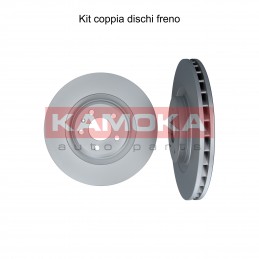 Coppia dischi freno...