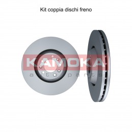 Coppia dischi freno...