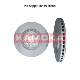 Coppia dischi freno...