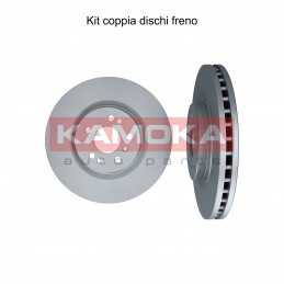 Coppia dischi freno...