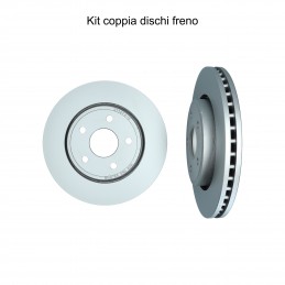 Coppia dischi freno...