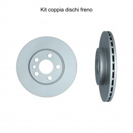 Coppia dischi freno...