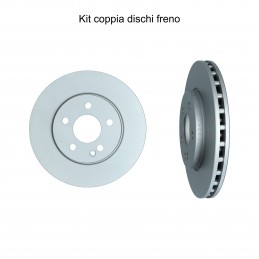 Coppia dischi freno...