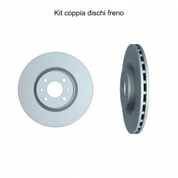 Coppia dischi freno...