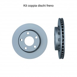 Coppia dischi freno...