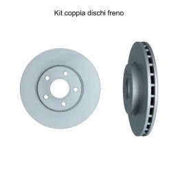 Coppia dischi freno...