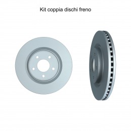 Coppia dischi freno...