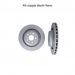 Coppia dischi freno...