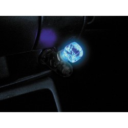 Crystal Dice 12V Multicolour