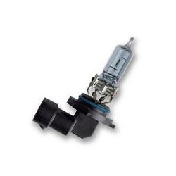 Osram 9005CBI Lampadina HB3
