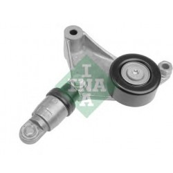 Tendicinghia cinghia Poly-V