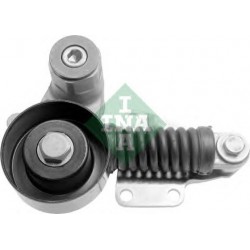 Tendicinghia cinghia Poly-V