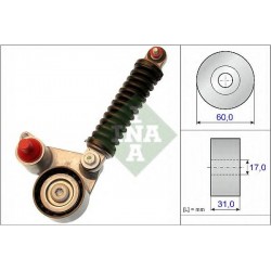 Tendicinghia cinghia Poly-V