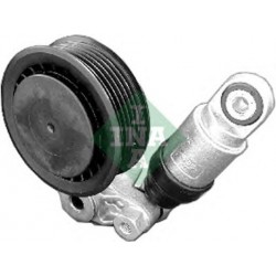 Tendicinghia cinghia Poly-V