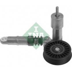 Tendicinghia cinghia Poly-V