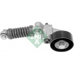 Tendicinghia cinghia Poly-V
