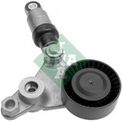 Tendicinghia cinghia Poly-V