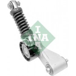 Tendicinghia cinghia Poly-V