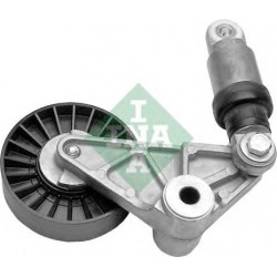 Tendicinghia cinghia Poly-V