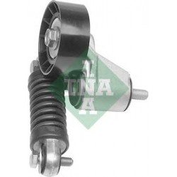 Tendicinghia cinghia Poly-V