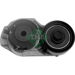 Tendicinghia cinghia Poly-V