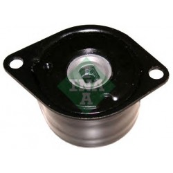 Tendicinghia cinghia Poly-V