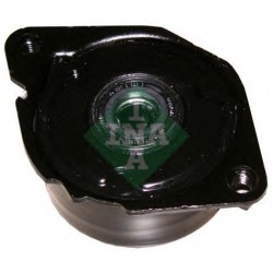 Tendicinghia cinghia Poly-V
