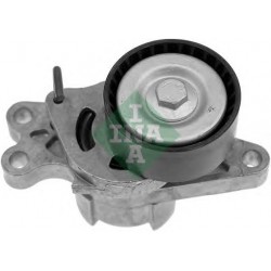 Tendicinghia cinghia Poly-V