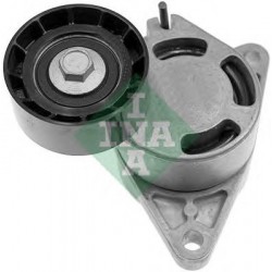 Tendicinghia cinghia Poly-V