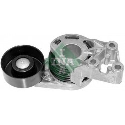 Tendicinghia cinghia Poly-V
