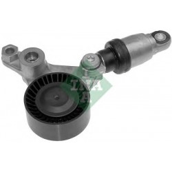 Tendicinghia cinghia Poly-V