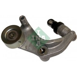 Tendicinghia cinghia Poly-V