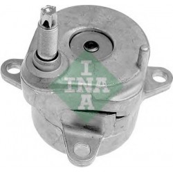 Tendicinghia cinghia Poly-V