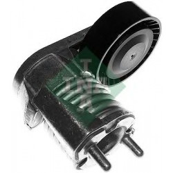 Tendicinghia cinghia Poly-V