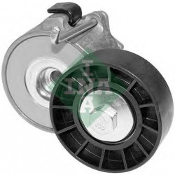 Tendicinghia cinghia Poly-V