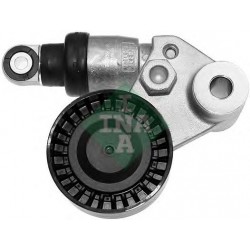 Tendicinghia cinghia Poly-V