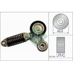 Tendicinghia cinghia Poly-V